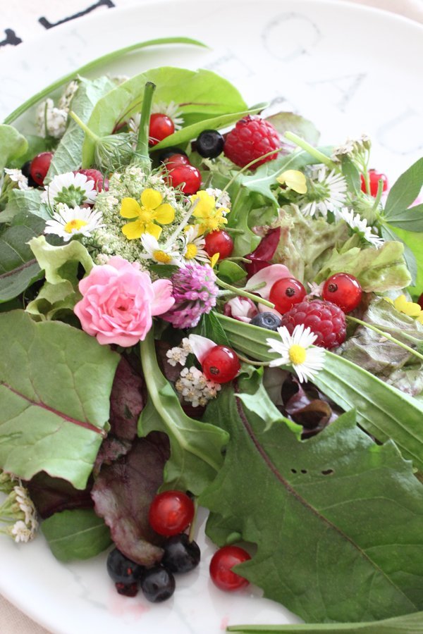 Wildkräutersalat Rezept serviert mit Geschenkidee Onlineshop